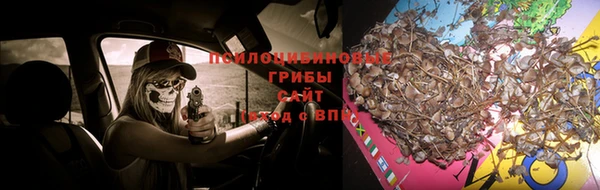 марки lsd Алексеевка