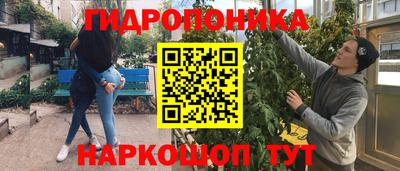 бутират Кингисепп