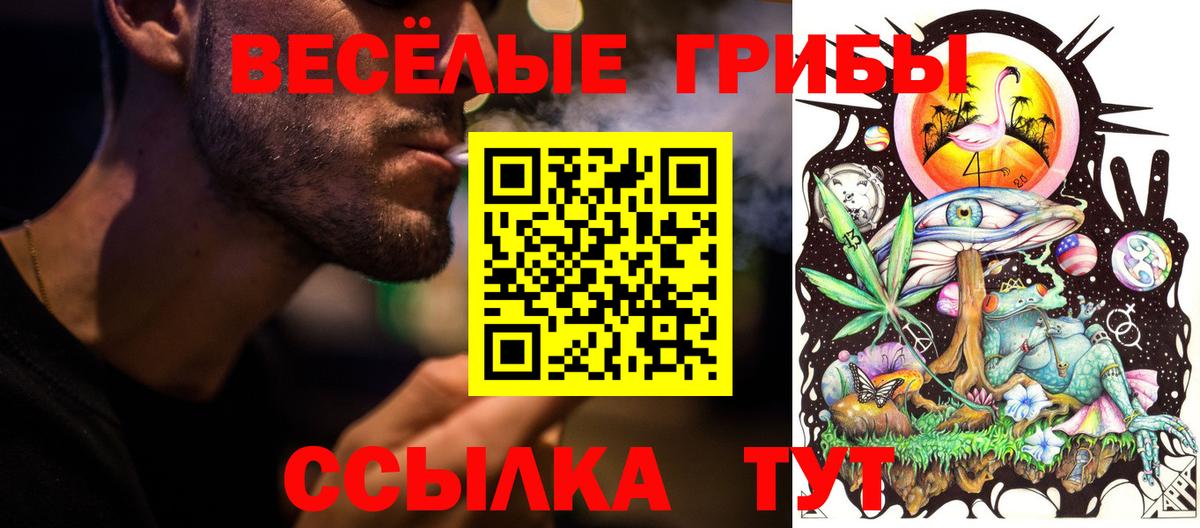 Куйбышев  Галлюциногенные грибы Cubensis  Псилоцибиновые грибы MAGIC MUSHROOMS  Вход с VPN 