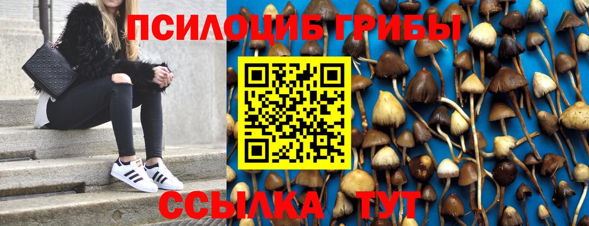 Псилоцибиновые грибы мухоморы Куйбышев
