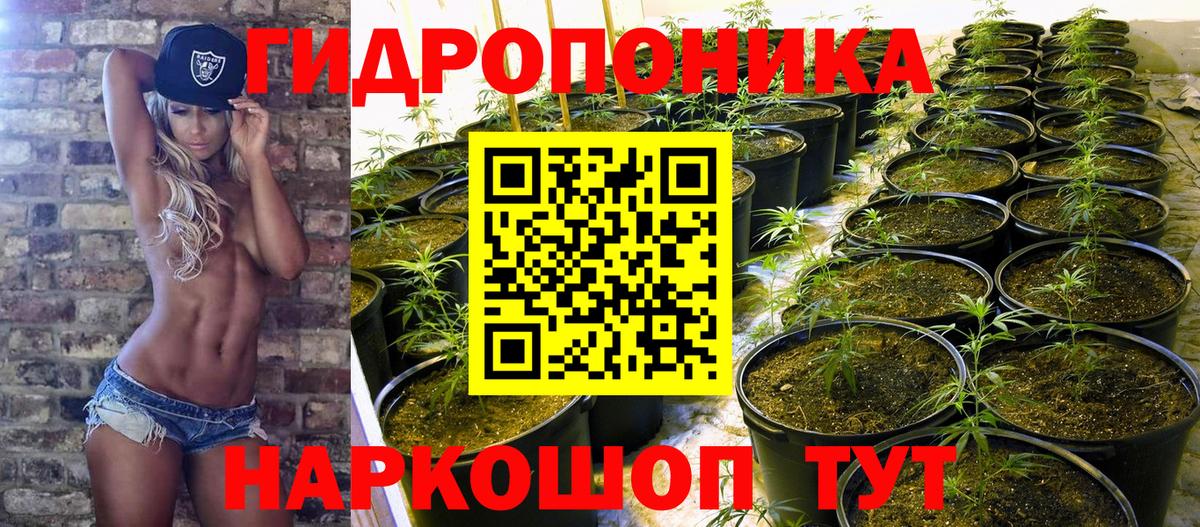 Бошки марихуана марихуана Куйбышев